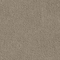 710cf8d7e9052c73970ec0649008a045