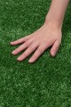 de8b057ac19c7544b9012d4b8c3e98eb