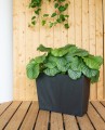 EU5100066_SONATA_TROUGH_GREY_AR3 (2).jpeg
