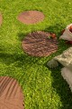 decktiles_cosmoplitan_cracked_log_AR5 (2).jpeg
