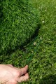 d4aad24a20d659c34581fc9fcd7a3e19.jpg