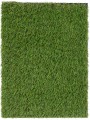 Sparq3022_a.jpg
