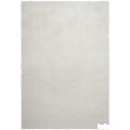 rug_no_bg.png