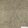 934cea496c3c01e9697b9a2cd31ed3e6