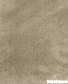 270ab8f6d33a443abffbb86e902a2c84