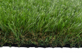 Product-5904169751993_5904169752006-MZ.png