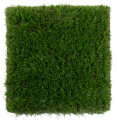 Product-5904169751993_5904169752006-P.png