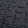 508817_b.JPG