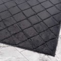 508817_g.JPG